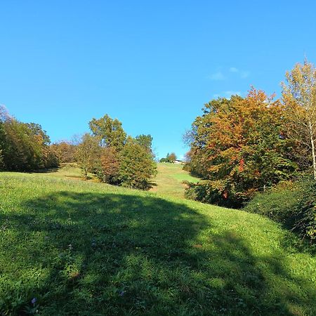 Agriturismo Fattoria Ortoalpino Trichiana Exteriör bild
