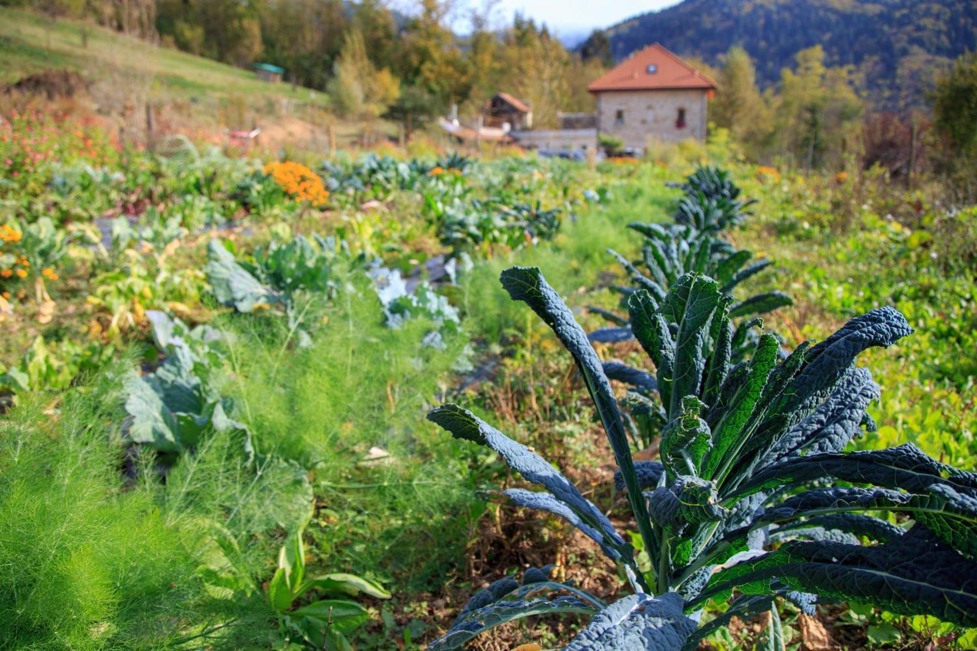 Agriturismo Fattoria Ortoalpino Trichiana Exteriör bild