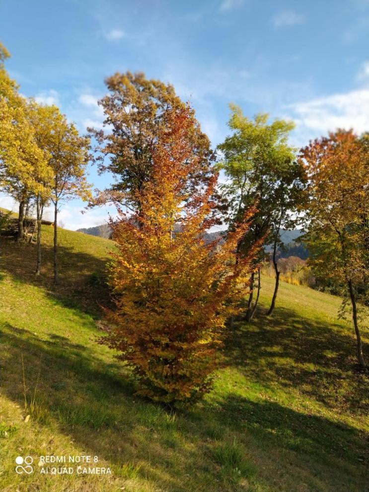 Agriturismo Fattoria Ortoalpino Trichiana Exteriör bild