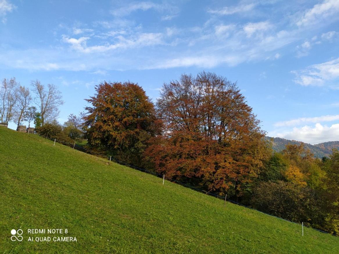 Agriturismo Fattoria Ortoalpino Trichiana Exteriör bild