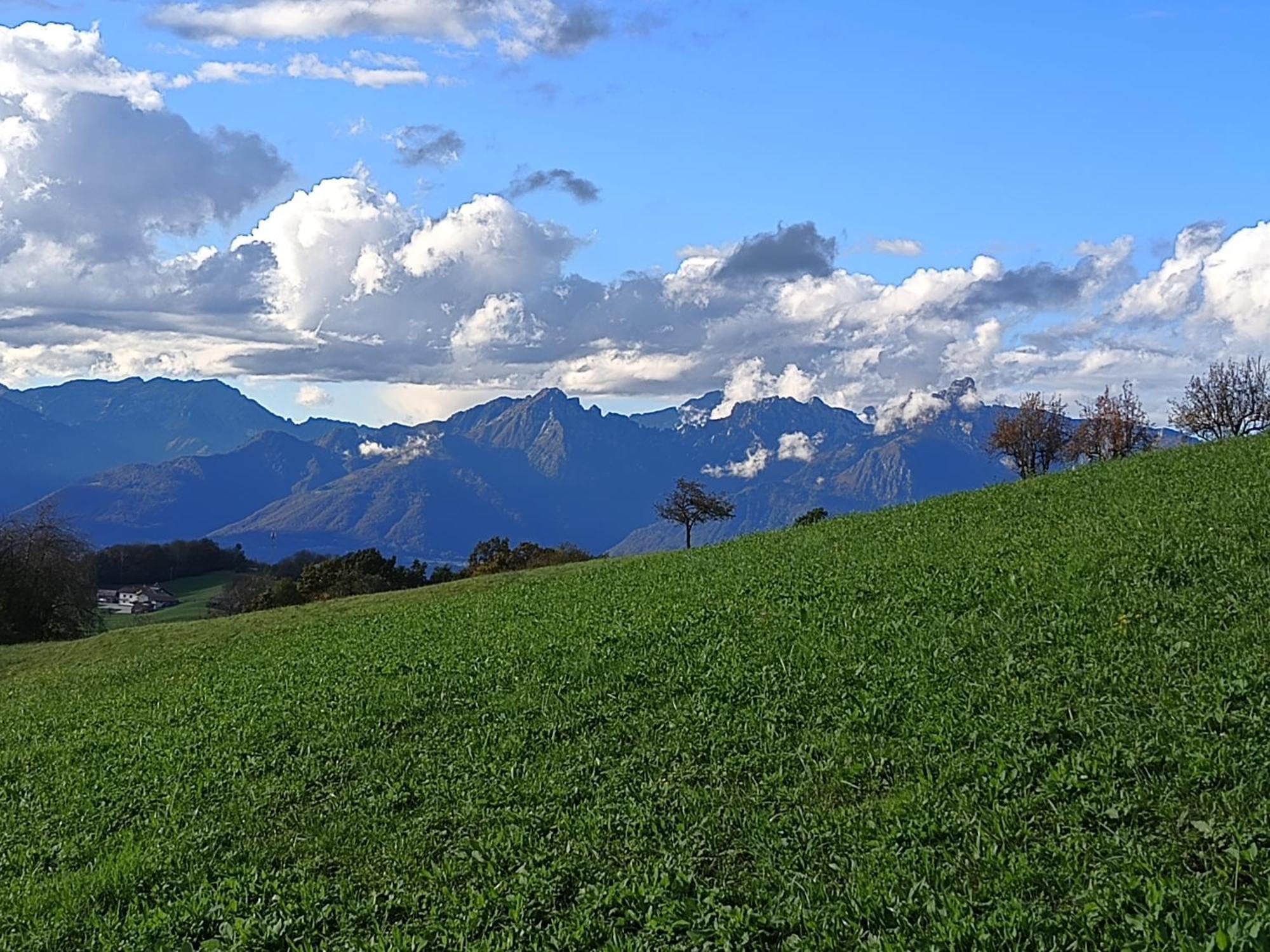 Agriturismo Fattoria Ortoalpino Trichiana Exteriör bild