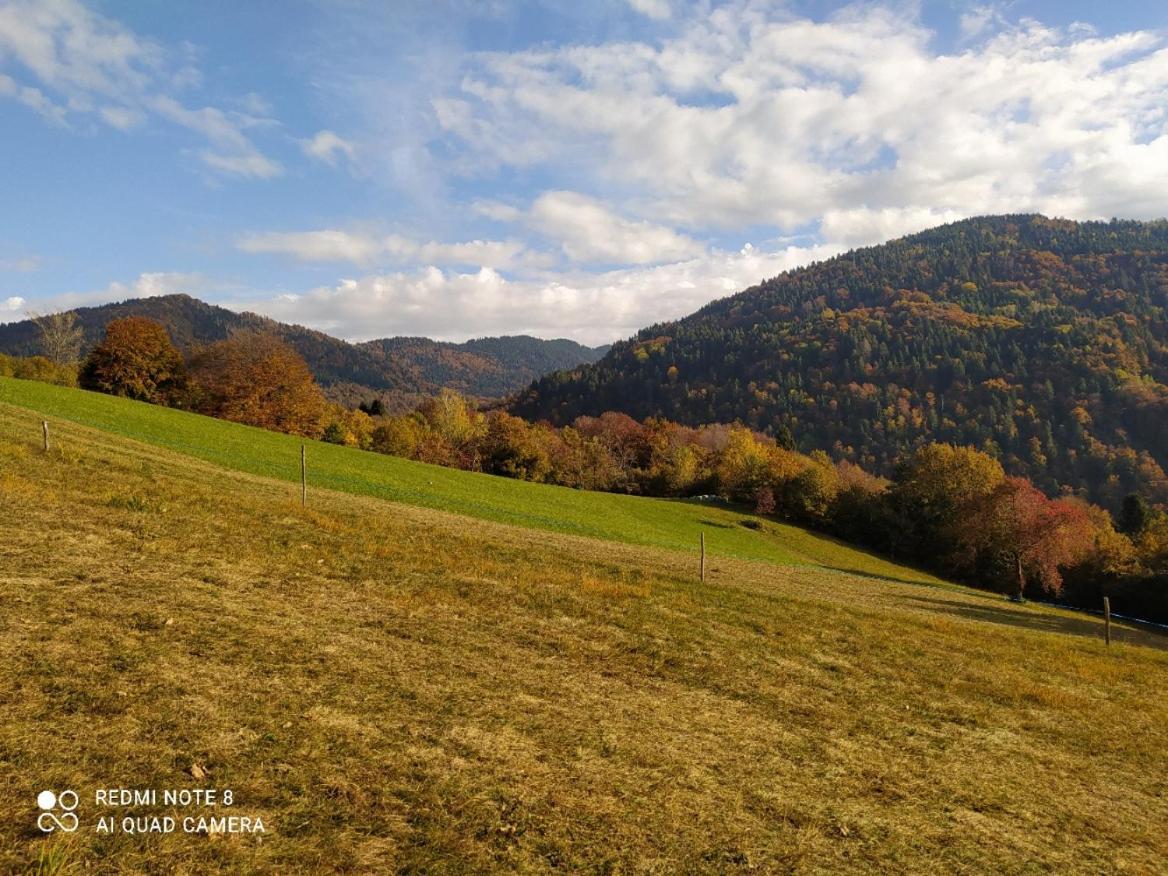 Agriturismo Fattoria Ortoalpino Trichiana Exteriör bild