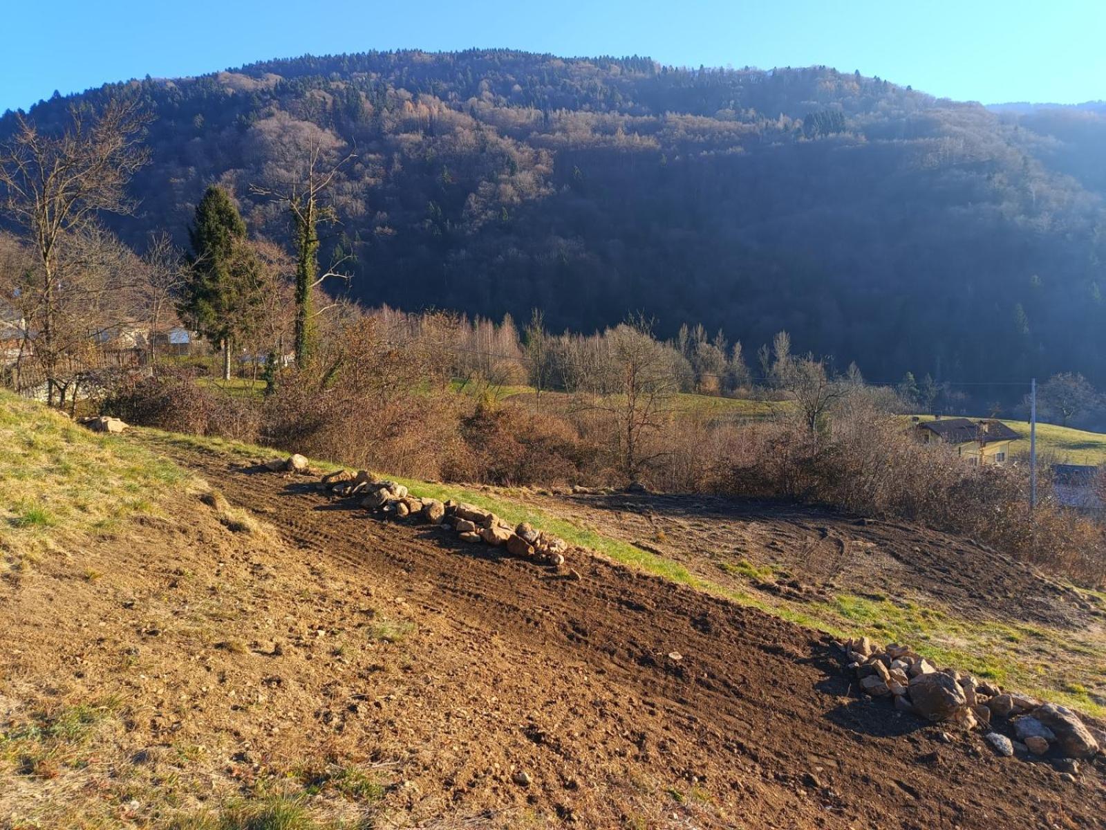 Agriturismo Fattoria Ortoalpino Trichiana Exteriör bild