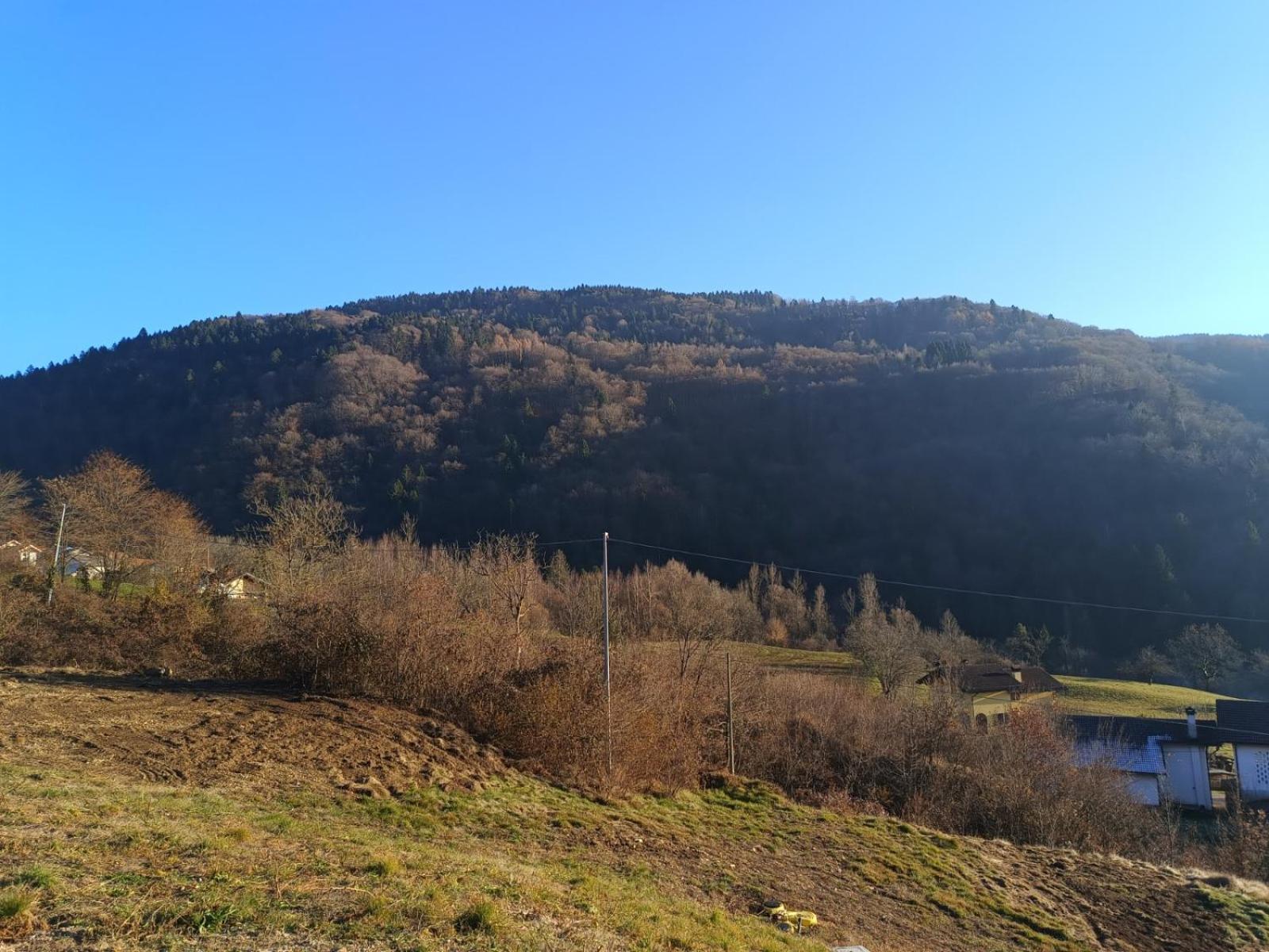 Agriturismo Fattoria Ortoalpino Trichiana Exteriör bild