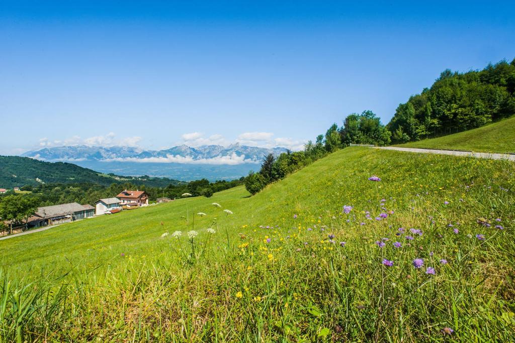 Agriturismo Fattoria Ortoalpino Trichiana Exteriör bild