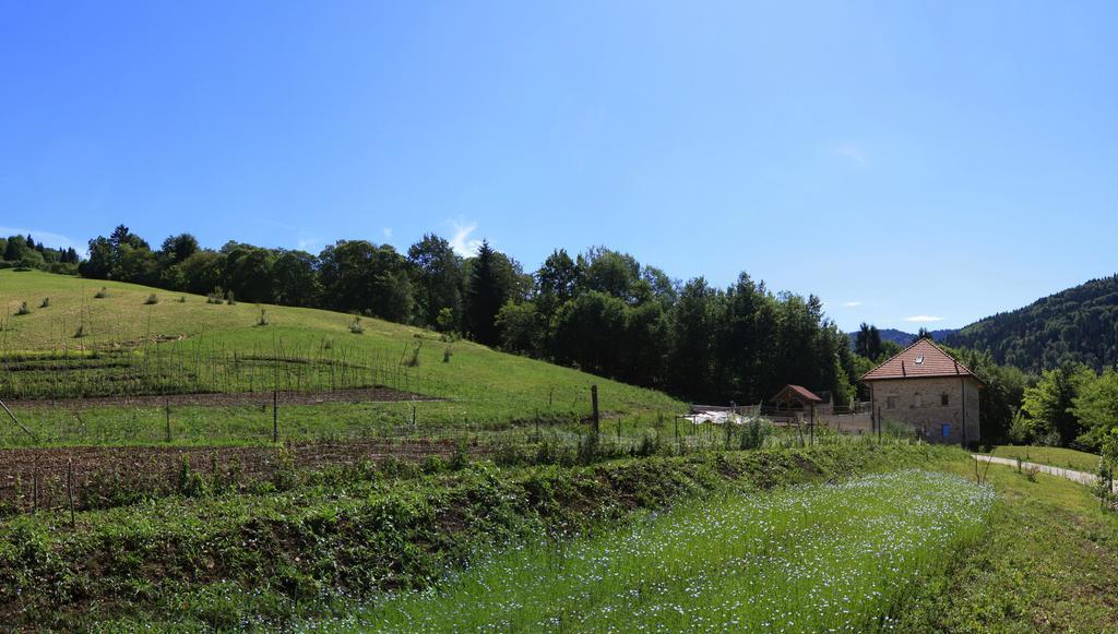 Agriturismo Fattoria Ortoalpino Trichiana Exteriör bild